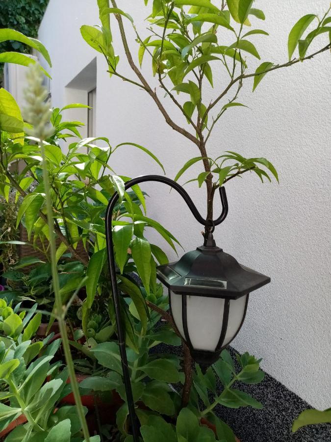 Apartments Anita Hure Хвар Екстериор снимка